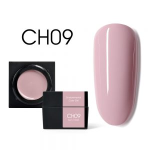 CH09